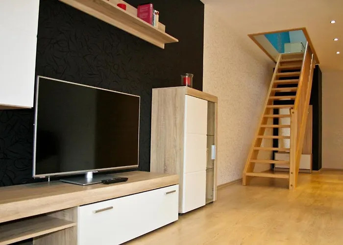 伊丽莎白小屋宾馆 3* 巴德塞尔佐根